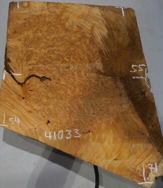 Amboyna burl slab, approx. 710 x 550/540 x 50 mm, 41033