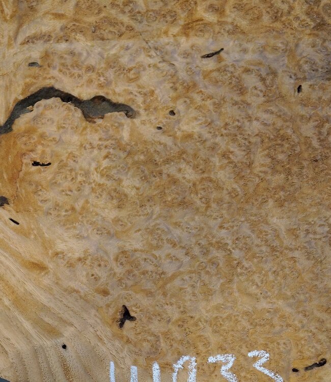 Amboyna burl slab, approx. 710 x 550/540 x 50 mm, 41033