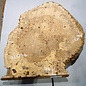 Amboyna burl slab, approx. 740 x 680 x 55 mm, 41034