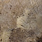 Amboyna burl slab, approx. 740 x 680 x 55 mm, 41034