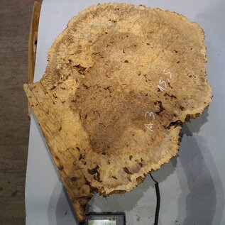 Amboyna burl slab, approx. 740 x 680 x 55 mm, 41034