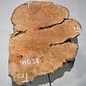 Flexuosa burl slab, approx. 530 x 460 x 75 mm, 41038