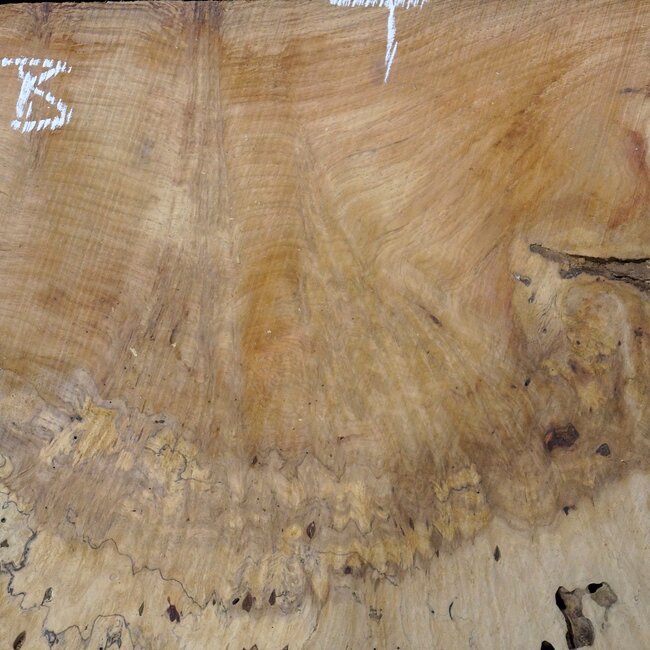 Amboina Maserplatten Paar, ca. 2 x 1270 x 480 x 50 mm, 41044