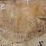 Amboyna burl slab pair, approx. 2 x 1270 x 480 x 50 mm, 41044