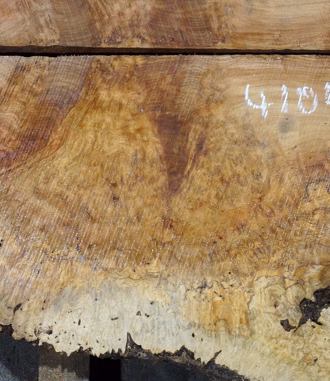 Amboina Maserplatten Paar, ca. 2 x 1270 x 480 x 50 mm, 41044