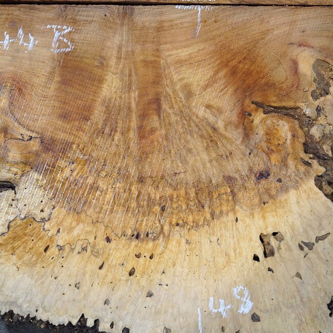 Amboyna burl slab pair, approx. 2 x 1270 x 480 x 50 mm, 41044
