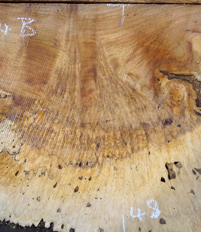 Amboina Maserplatten Paar, ca. 2 x 1270 x 480 x 50 mm, 41044