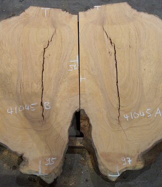 Hymenolobium flavum burl pair, approx. 2 x 970 x 580 x 55 mm, 41045