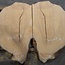 Hymenolobium flavum burl pair, approx. 2 x 970 x 580 x 55 mm, 41045