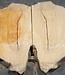 Hymenolobium flavum burl pair, approx. 2 x 970 x 580 x 55 mm, 41045