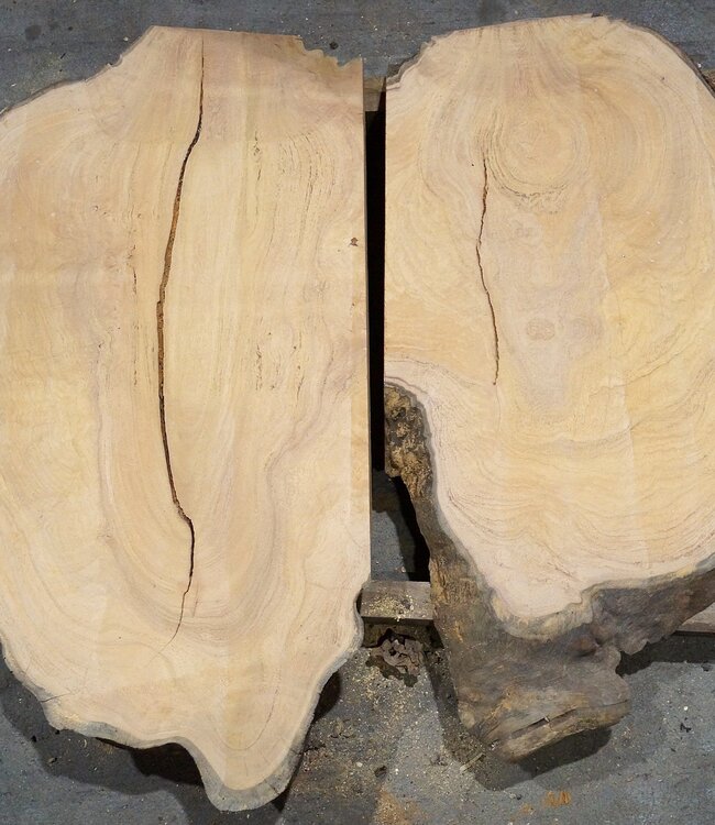 Hymenolobium flavum burl pair, approx. 2 x 970 x 580 x 55 mm, 41045