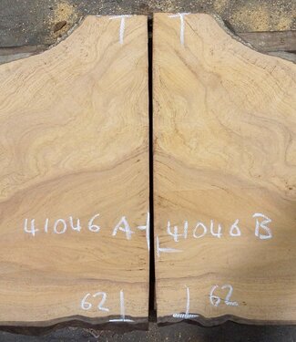 Hymenolobium flavum burl pair, approx. 2 x 670 x 620 x 45 mm, 41046
