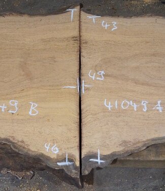 Hymenolobium flavum burl pair, approx. 490/500 x 430/460 x 50 mm, 41049