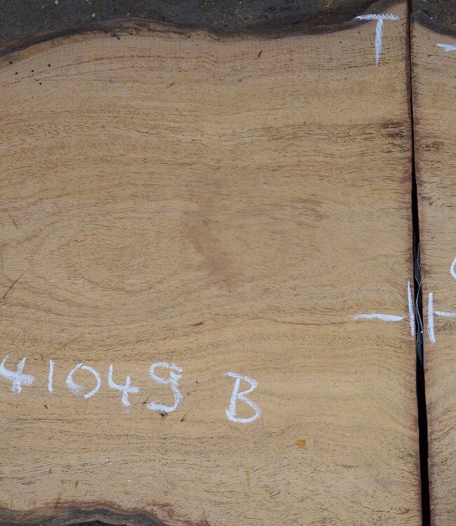 Hymenolobium flavum burl pair, approx. 490/500 x 430/460 x 50 mm, 41049