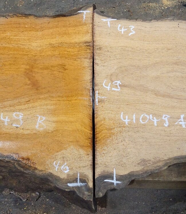 Hymenolobium flavum burl pair, approx. 490/500 x 430/460 x 50 mm, 41049