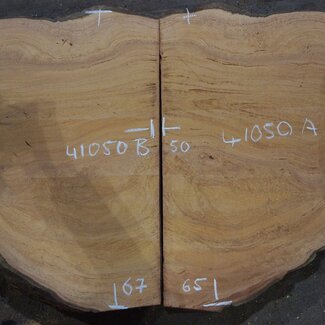 Hymenolobium flavum Maser Paar, ca. 650/670 x 500/500 x 45 mm, 41050