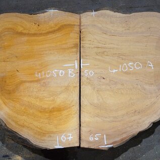 Hymenolobium flavum burl pair, approx. 650/670 x 500/500 x 45 mm, 41050