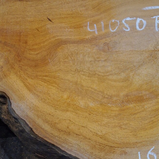 Hymenolobium flavum burl pair, approx. 650/670 x 500/500 x 45 mm, 41050