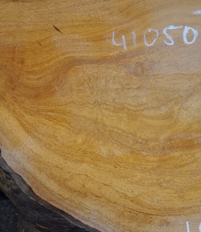 Hymenolobium flavum burl pair, approx. 650/670 x 500/500 x 45 mm, 41050