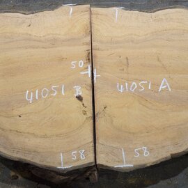 Hymenolobium flavum burl pair, approx. 580 x 500 x 45 mm, 41051