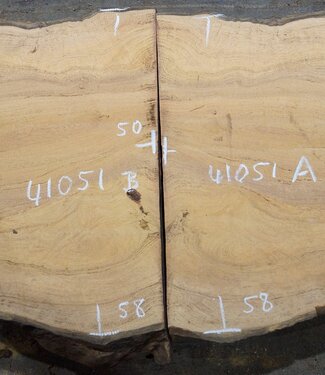 Hymenolobium flavum burl pair, approx. 580 x 500 x 45 mm, 41051