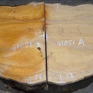 Hymenolobium flavum burl pair, approx. 580 x 500 x 45 mm, 41051