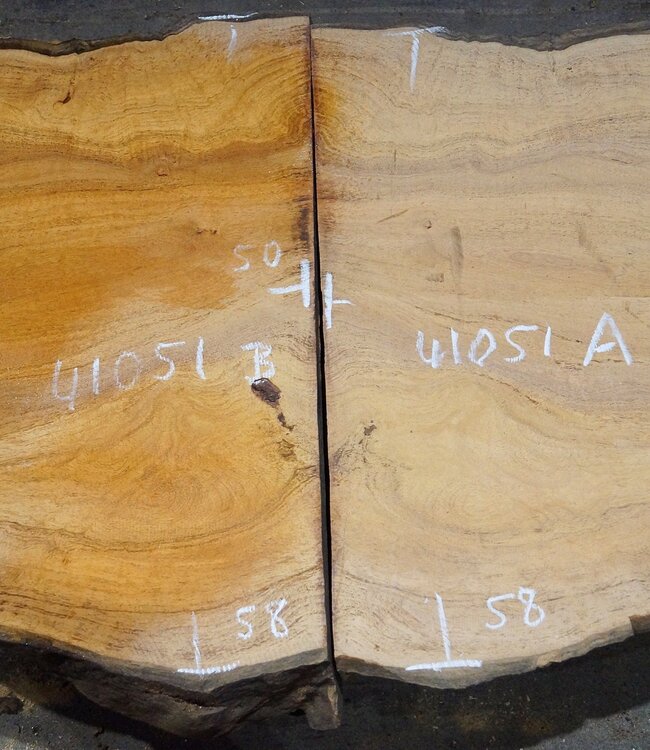 Hymenolobium flavum Maser Paar, ca. 580 x 500 x 45 mm, 41051