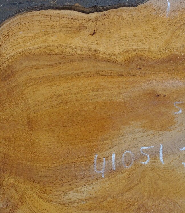 Hymenolobium flavum Maser Paar, ca. 580 x 500 x 45 mm, 41051