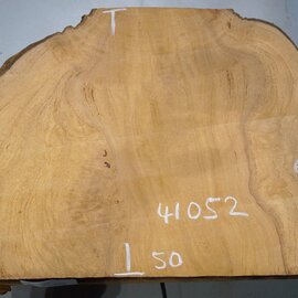 Hymenolobium flavum burl, approx. 670 x 500 x 35-55 mm, 41052