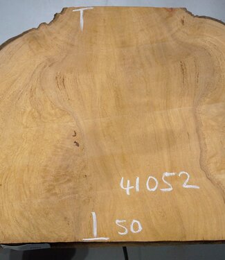 Hymenolobium flavum Maser, ca. 670 x 500 x 35-55 mm, 41052