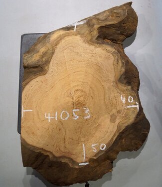 Hymenolobium flavum burl, approx. 500 x 400 x 55 mm, 41053