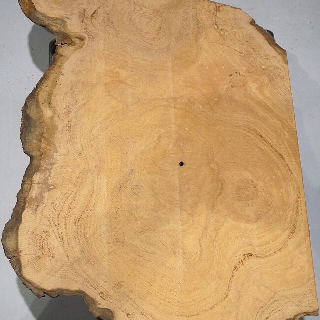 Hymenolobium flavum burl, approx. 500 x 400 x 55 mm, 41053