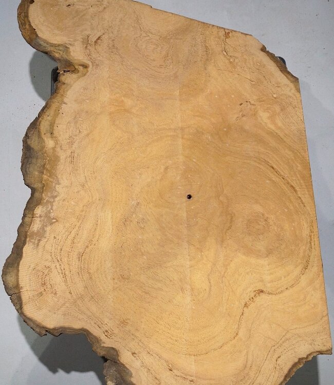 Hymenolobium flavum Maser, ca. 500 x 400 x 55 mm, 41053