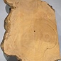 Hymenolobium flavum Maser, ca. 500 x 400 x 55 mm, 41053