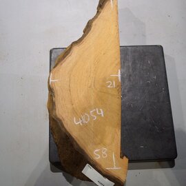 Hymenolobium flavum Maser, ca. 580 x 210 x 52 mm, 41054