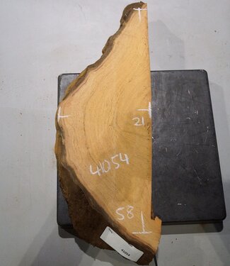 Hymenolobium flavum Maser, ca. 580 x 210 x 52 mm, 41054