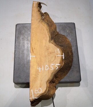 Hymenolobium flavum burl, approx. 600 x 190 x 55 mm, 41055