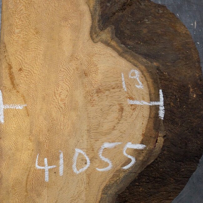 Hymenolobium flavum burl, approx. 600 x 190 x 55 mm, 41055