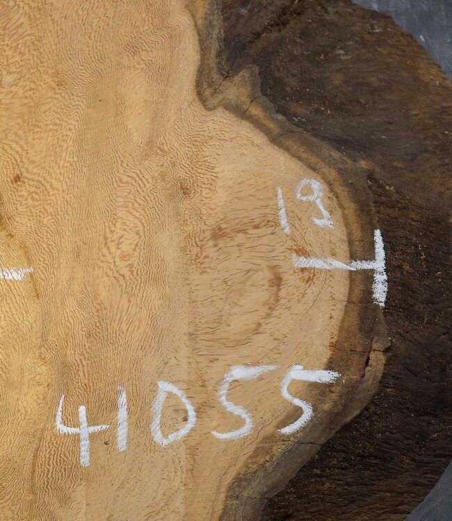 Hymenolobium flavum Maser, ca. 600 x 190 x 55 mm, 41055