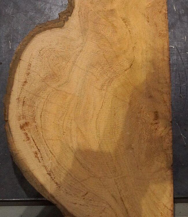 Hymenolobium flavum burl, approx. 600 x 190 x 55 mm, 41055