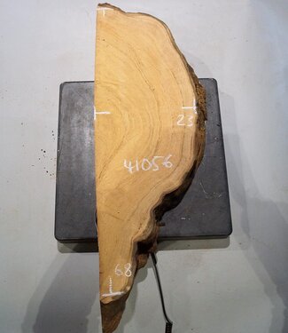 Hymenolobium flavum burl, approx. 680 x 230 x 55 mm, 41056