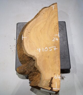 Hymenolobium flavum Maser, ca. 640 x 270 x 55 mm, 41057