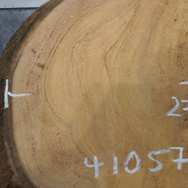 Hymenolobium flavum Maser, ca. 640 x 270 x 55 mm, 41057