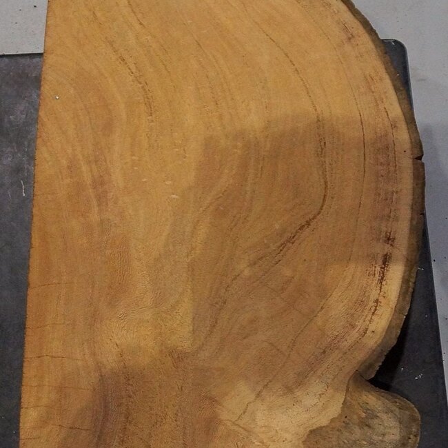 Hymenolobium flavum burl, approx. 640 x 270 x 55 mm, 41057