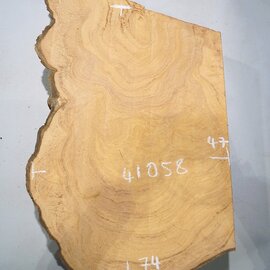 Hymenolobium flavum burl, approx. 740 x 470 x 55 mm, 41058