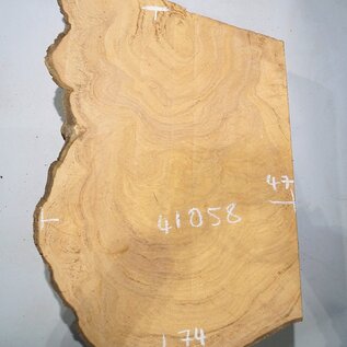 Hymenolobium flavum burl, approx. 740 x 470 x 55 mm, 41058