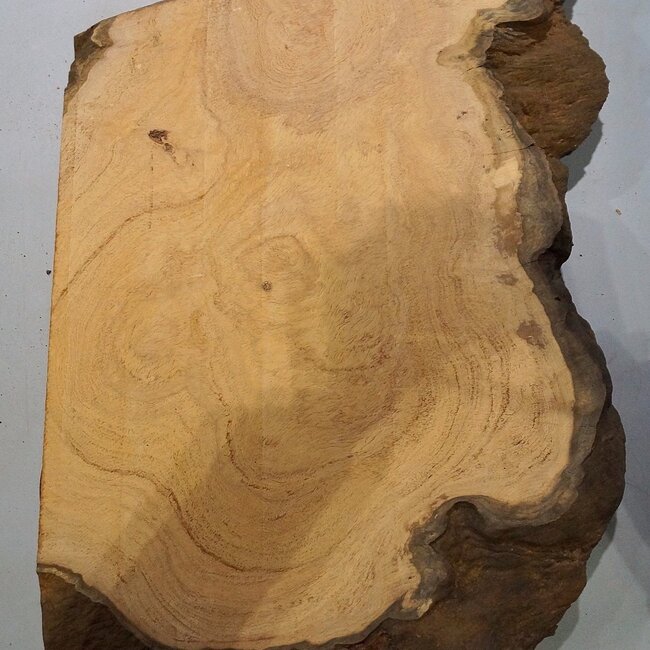 Hymenolobium flavum burl, approx. 740 x 470 x 55 mm, 41058