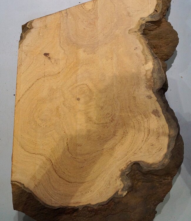 Hymenolobium flavum burl, approx. 740 x 470 x 55 mm, 41058
