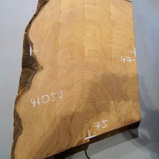 Hymenolobium flavum burl, approx. 750 x 470 x 55 mm, 41059