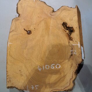 Hymenolobium flavum burl, approx. 750 x 520 x 55 mm, 41060